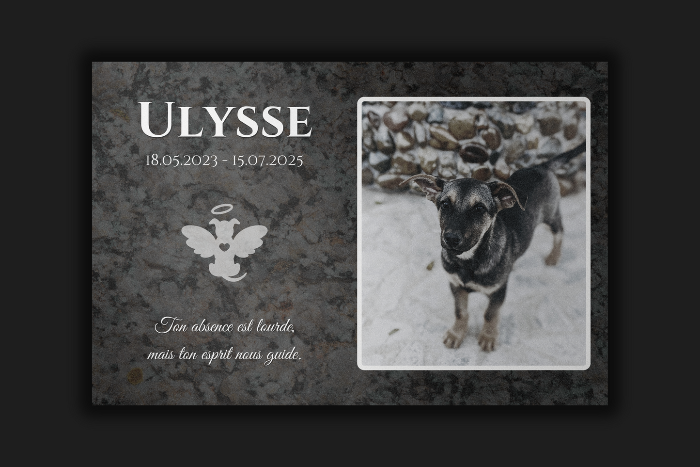 Plaque commémorative en aluminium personnalisée pour animaux