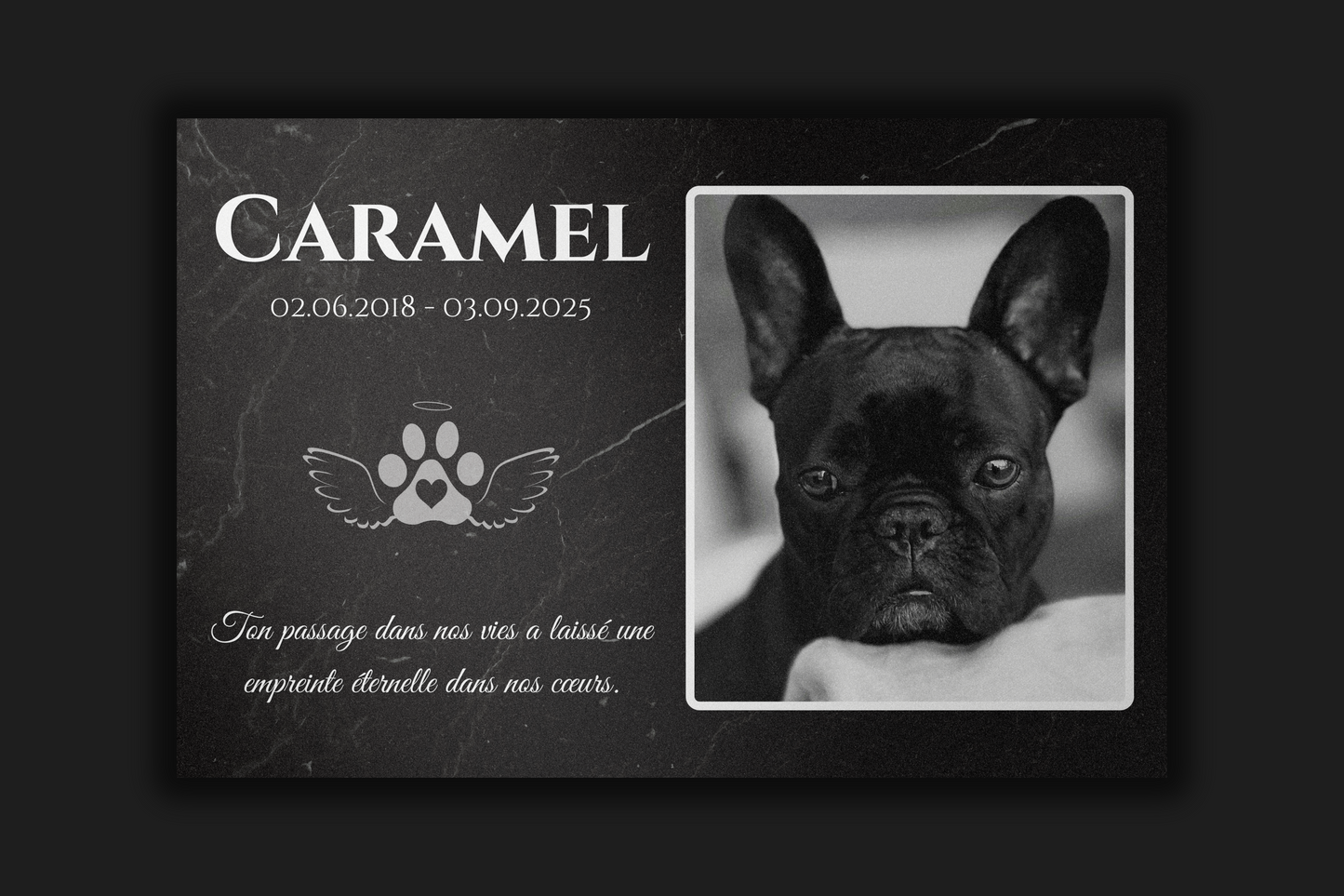 Plaque commémorative en aluminium personnalisée pour animaux
