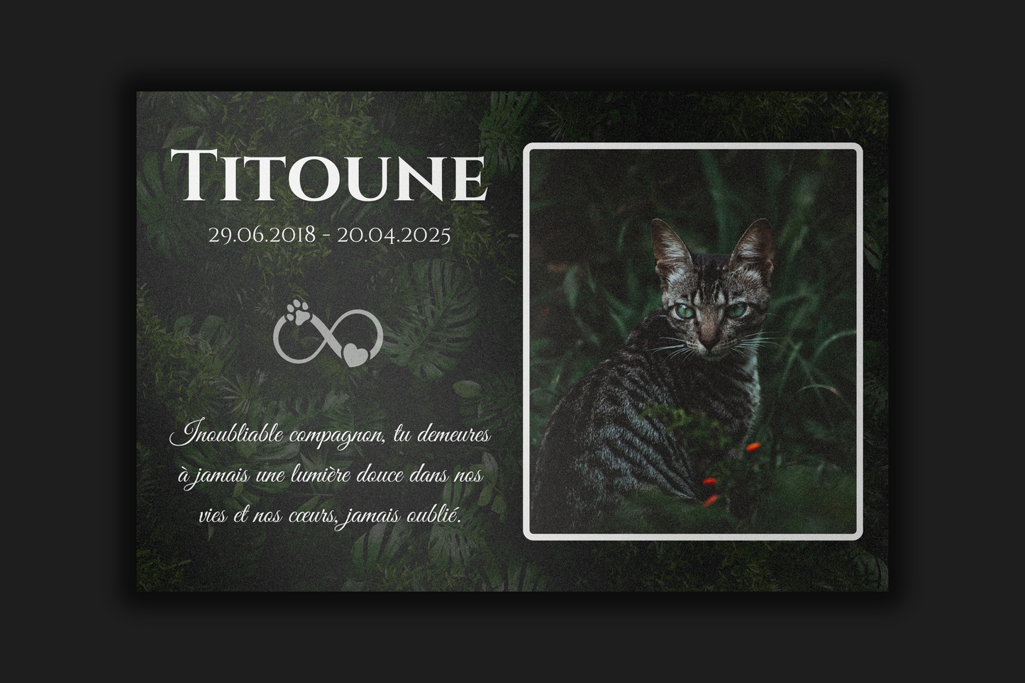 Plaque commémorative en aluminium personnalisée pour animaux