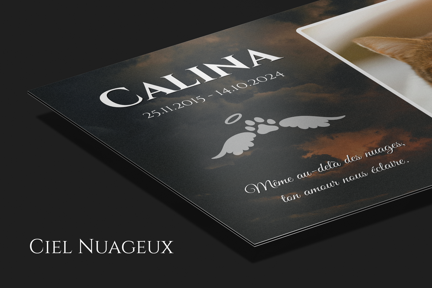 Plaque commémorative en aluminium personnalisée pour animaux