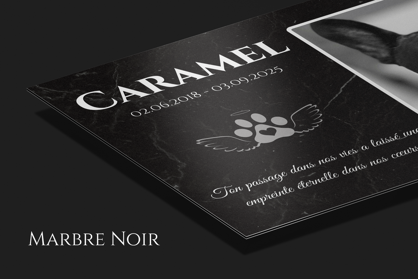 Plaque commémorative en aluminium personnalisée pour animaux