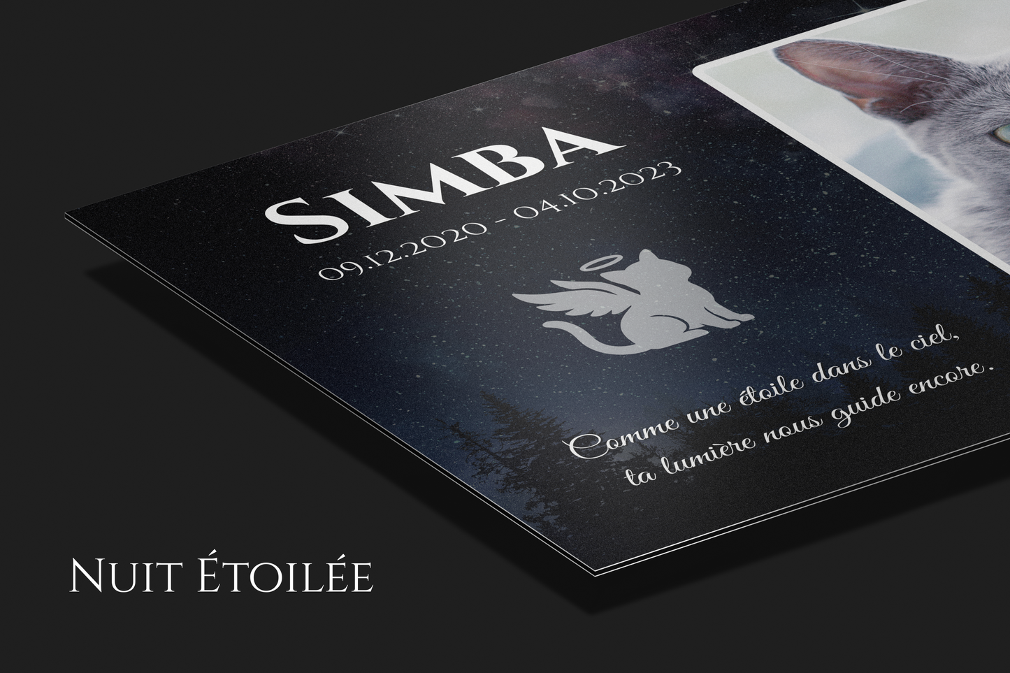 Plaque commémorative en aluminium personnalisée pour animaux